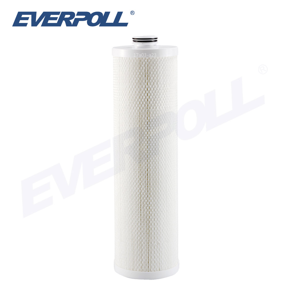 【EVERPOLL】愛惠浦 全戶濾淨專用濾芯/濾心 (FH-050)