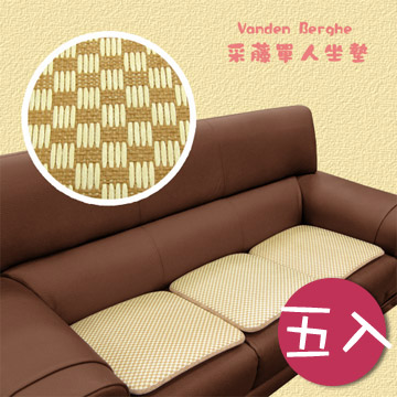 【范登伯格】采藤☆涼夏單人坐墊(五入)50x50cm