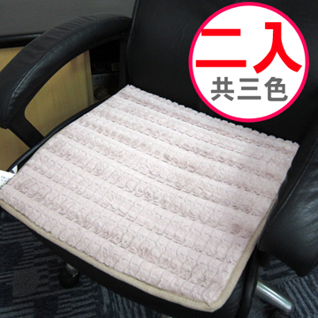 【范登伯格】桔梗☆超細柔防滑坐墊-(二入)(共三色)50x50cm