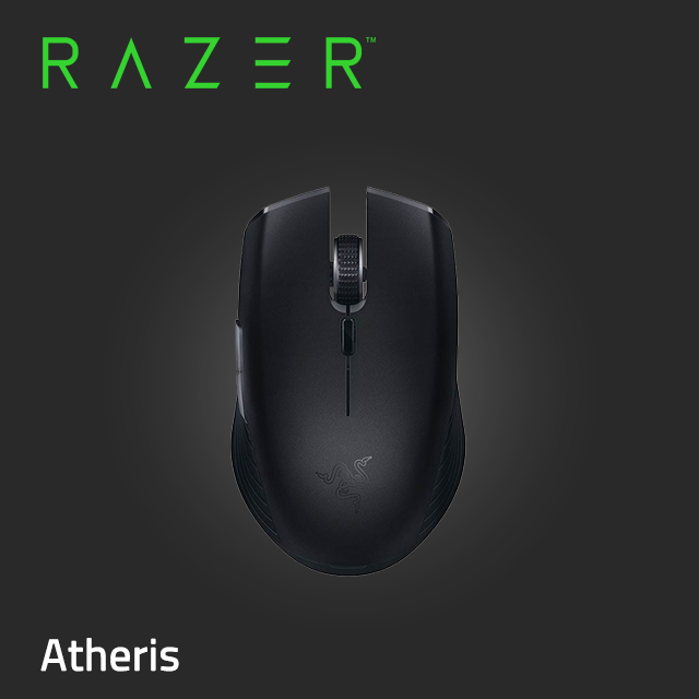 Razer 刺鱗樹蝰