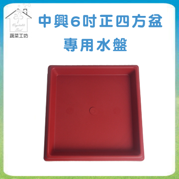【蔬菜工坊】中興6吋正四方盆專用水盤磚紅色