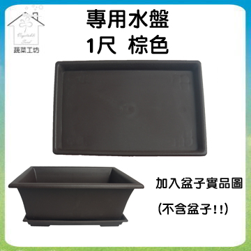 【蔬菜工坊】中興1尺長方盆專用水盤 棕色