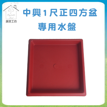 【蔬菜工坊】中興1尺正四方盆專用水盤磚紅色
