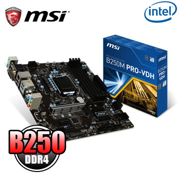 (C+M) 微星 B250M PRO-VDH 主機板 + Intel Core i3 7100 中央處理器(盒裝)