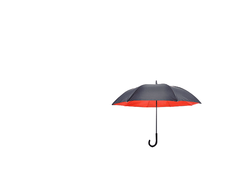 (五人十) 防雨防晒 新型弧面上收反向伞