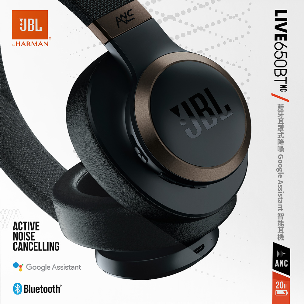 Jual JBL LIVE650BTNC ear noise 