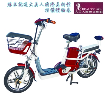 勝一EV-16S電動輔助自行車