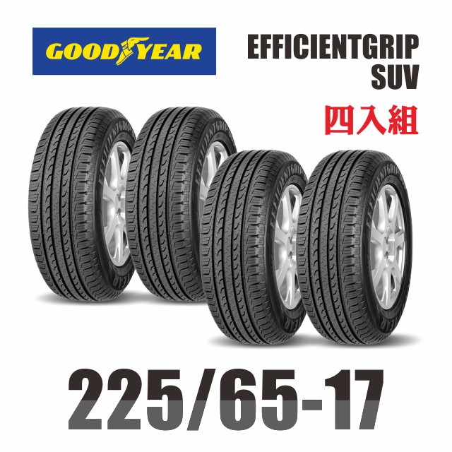 GOODYEAR 固特異 EFFICIGRIP 225-65-17
