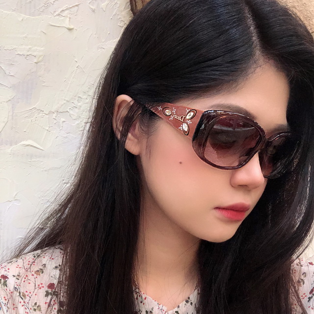 Christian Dior 時尚太陽眼鏡 ETHNIDIOR 1 咖啡框漸層茶鏡片