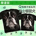 【摩達客】(預購) 美國進口The Mountain 波士頓梗犬黑黑配 狗狗親子裝情侶裝麻吉姐妹裝(兩件入組合)