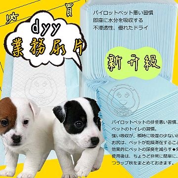 日單噓噓價》dyy業務用經濟包抗菌除臭尿布尿片共6包(再升級不滲透)