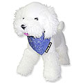 Fancy Pets 尤加利芳香驅蟲領巾-經典牛仔(S)15~36cm
