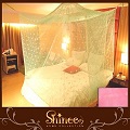 SHINEE《100%台灣製 高密度特大雙人6X7尺內格蚊帳》- 粉色圓點(買就送棉質綁繩x4)