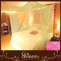 SHINEE《100%台灣製 高密度特大雙人6X7尺內格蚊帳》- 粉紅色星花(買就送棉質綁繩x4)