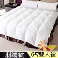 凱蕾絲帝-台灣製天然雙人羽絨被(6x7尺)
