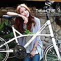 Taiwan TOP SHIMANO 20吋21速 F型小徑車 限量100台