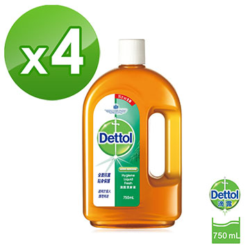 滴露Dettol 潔身液750ml*4