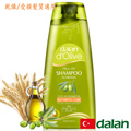【土耳其dalan】 dOlive橄欖油小麥蛋白修護洗髮露400ml