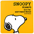 日本MEIHO SNOOPY 史奴比 儀表板 止滑墊 SN168