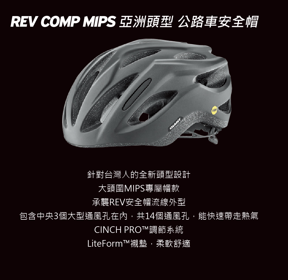 rev comp mips