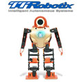 【TTRobotix 雷虎】可自由編輯動作機器人ROBOHERO 組裝完成版 7500-F10