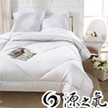 【源之氣】高級竹炭羊毛被 6X7尺 RM-10371