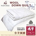 鴻宇HongYew MARTONEER系列-防蹣抗菌100%金鑽小羊絨被/雙人(6x7尺)