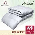 鴻宇HongYew MARTONEER系列-頂級竹炭黑鑽養生被/雙人(6x7尺)