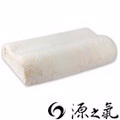 【源之氣】極品竹炭釋壓記憶枕 RM-10304-1