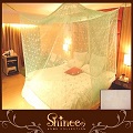 SHINEE《100%台灣製 高密度特大雙人6X7尺內格蚊帳》- 米色圓點