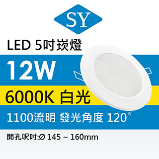 【SY 聲億】12W LED崁燈 15cm白光