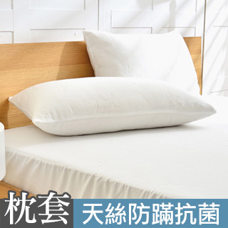 義大利La Belle《簡約素雅》天絲防蹣抗菌透氣防水信封式保潔枕套-2入
