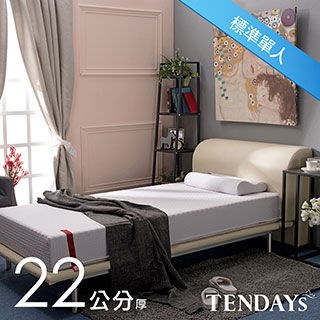 【TENDAYS】柔織舒壓床墊(標準單人 22cm厚記憶床)