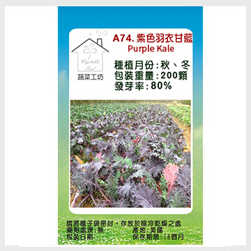 【蔬菜工坊】A74.紫色羽衣甘藍種子