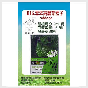 【蔬菜工坊】B16.雪翠高麗菜種子