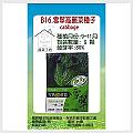 【蔬菜工坊】B16.雪翠高麗菜種子