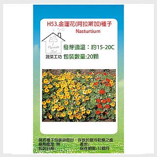 H53.金蓮花(阿拉斯加)種子20顆