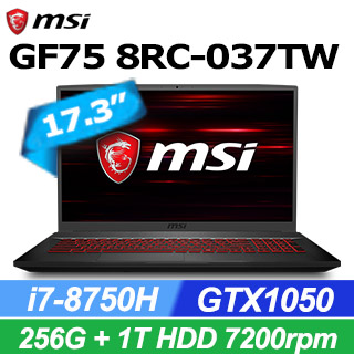 MSI微星 GF75 8RC-037TW(i7-8750H/8GB/1T+256G SSD/GTX1050-4G/ Win10)電競筆電