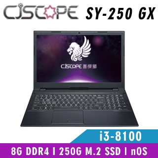 CJSCOPE SY-250 GX(i3-8100/8G/250G m.2 SSD/nOS)
