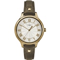 TIMEX 天美時 風格系列 羅馬字女錶(橄欖綠 TXTW2R43000)