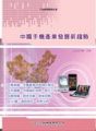2G需求繼續成長 3G孕育新商機 -中國手機產業發展新趨勢(平裝)