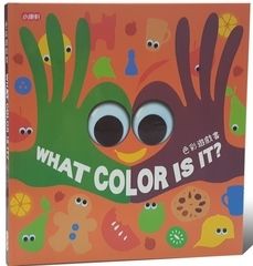 色彩遊戲書:WHAT COLOR IS IT?