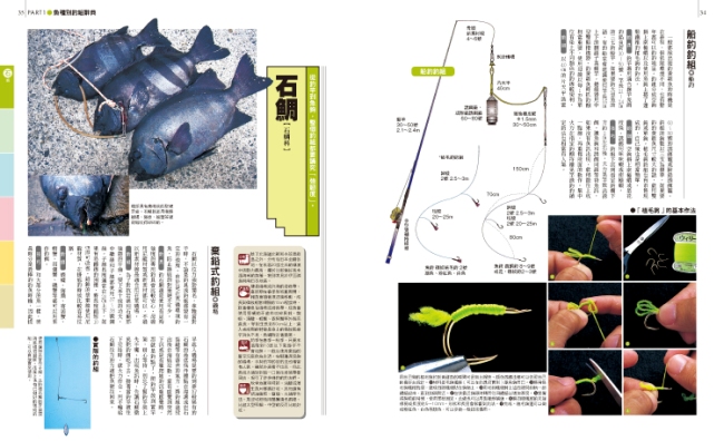 釣魚配備應用百科 史上最完整139種海釣釣組收錄 海水魚篇 Pchome 24h書店