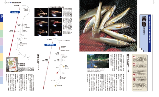 釣魚配備應用百科 淡水魚篇 史上最齊全種河川 湖泊 沼澤常用釣組收錄 Pchome 24h書店