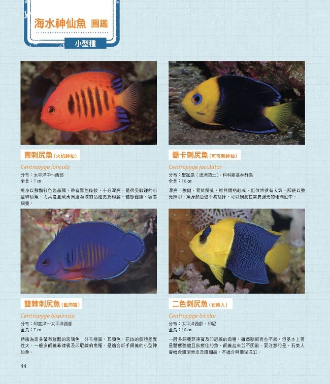 給新手的海水魚飼養指南 Pchome 24h書店