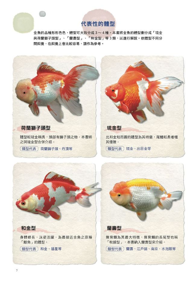給新手的金魚鑑賞ｘ飼養指南 Pchome 全球購物 書店