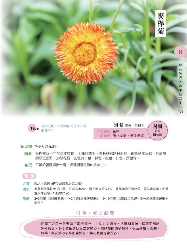 小陽台裡的花花世界 適合新手的12個月花草栽種提案 Pchome 24h書店