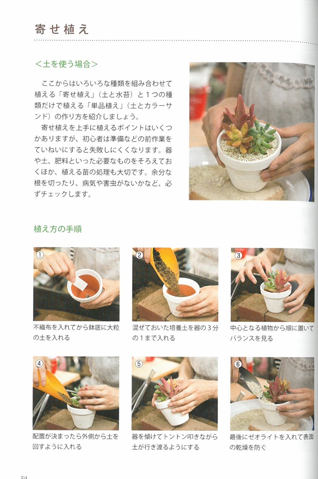 多肉植物綠意植栽裝飾生活實例手冊 Pchome 24h書店