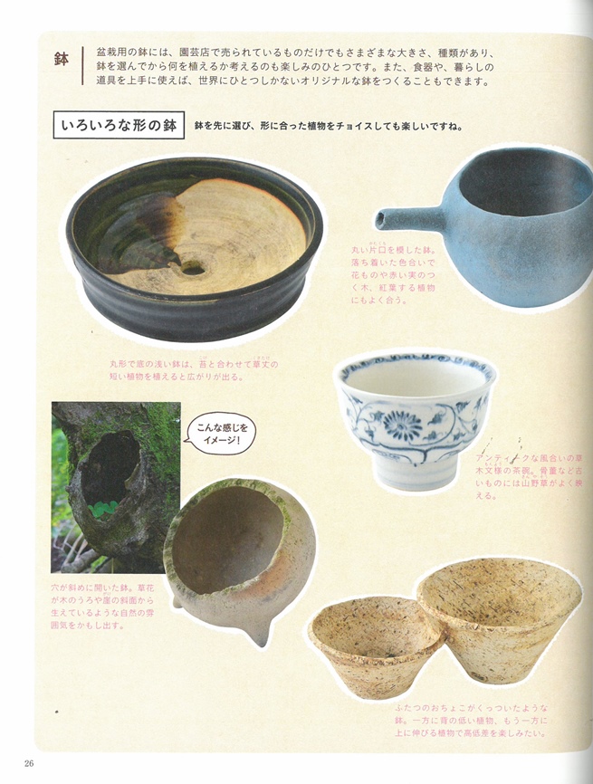 可愛小巧植物盆栽生活佈置實例集 Pchome 24h書店