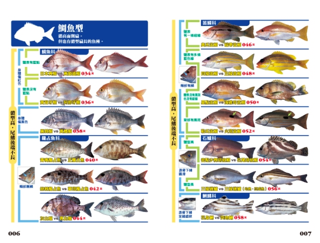 海水魚完全識別圖解 267種海水魚全解析 Pchome 全球購物 書店
